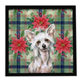 Hairless Mottled Pattern Chinese Crested Christmas PoinsettIas Framed Metal Print Bathroom, Kitchen, Office, Home Decor Wall Art Ready to Hang, Square, 8X8