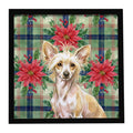 Hairless Palomino Chinese Crested Christmas PoinsettIas Framed Metal Print Bathroom, Kitchen, Office, Home Decor Wall Art Ready to Hang, Square, 8X8