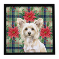 Powderpuff Chinese Crested Christmas PoinsettIas Framed Metal Print Bathroom, Kitchen, Office, Home Decor Wall Art Ready to Hang, Square, 8X8