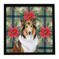 Sable Collie Christmas PoinsettIas Framed Metal Print Bathroom, Kitchen, Office, Home Decor Wall Art Ready to Hang, Square, 8X8