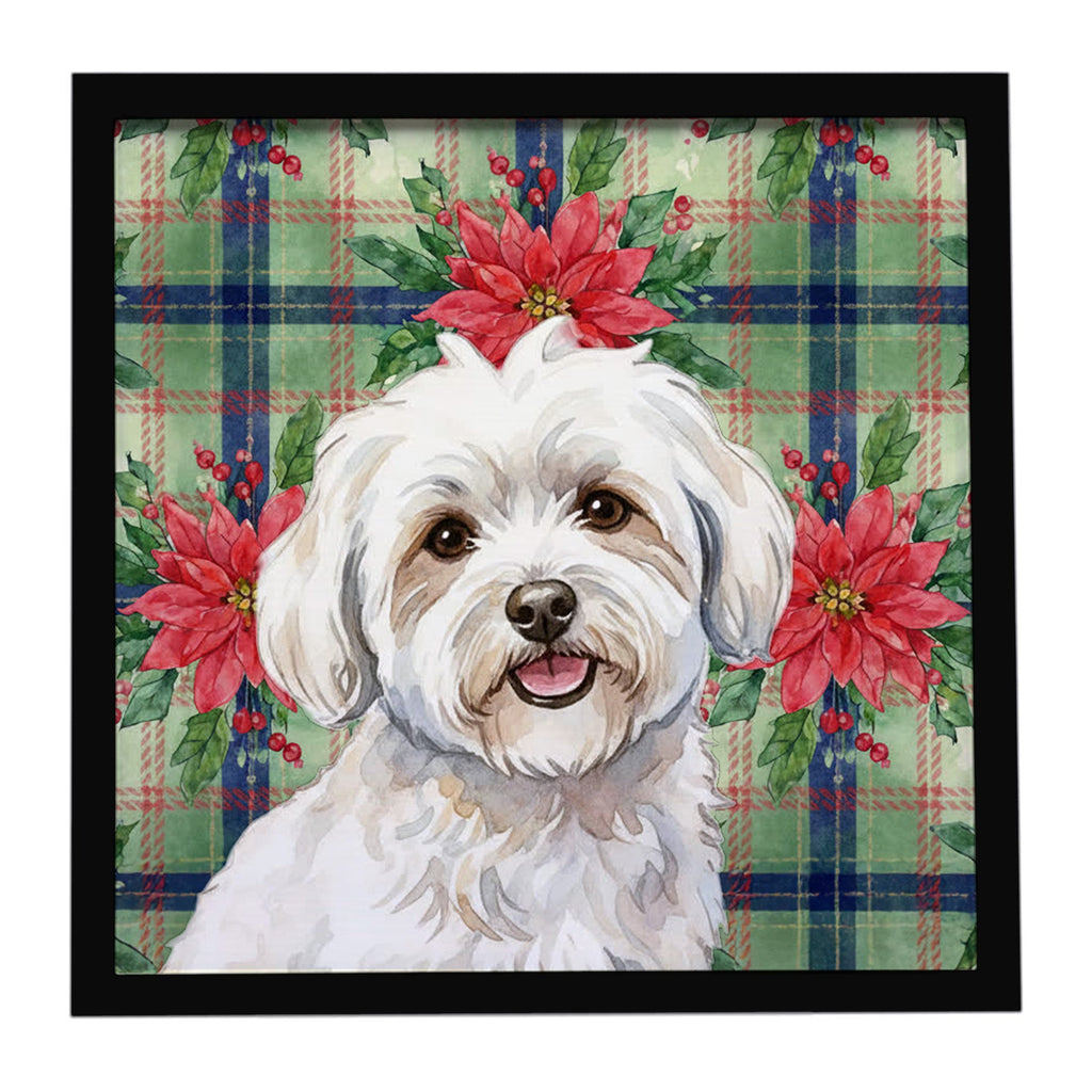 Coton de Tulear Christmas PoinsettIas Framed Metal Print Bathroom, Kitchen, Office, Home Decor Wall Art Ready to Hang, Square, 8X8