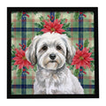 White with Gray Coton de Tulear Christmas PoinsettIas Framed Metal Print Bathroom, Kitchen, Office, Home Decor Wall Art Ready to Hang, Square, 8X8