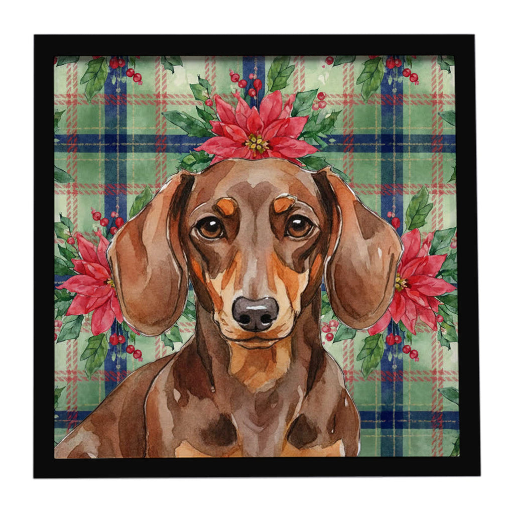 Chocolate and Tan Dachshund Christmas PoinsettIas Framed Metal Print Bathroom, Kitchen, Office, Home Decor Wall Art Ready to Hang, Square, 8X8