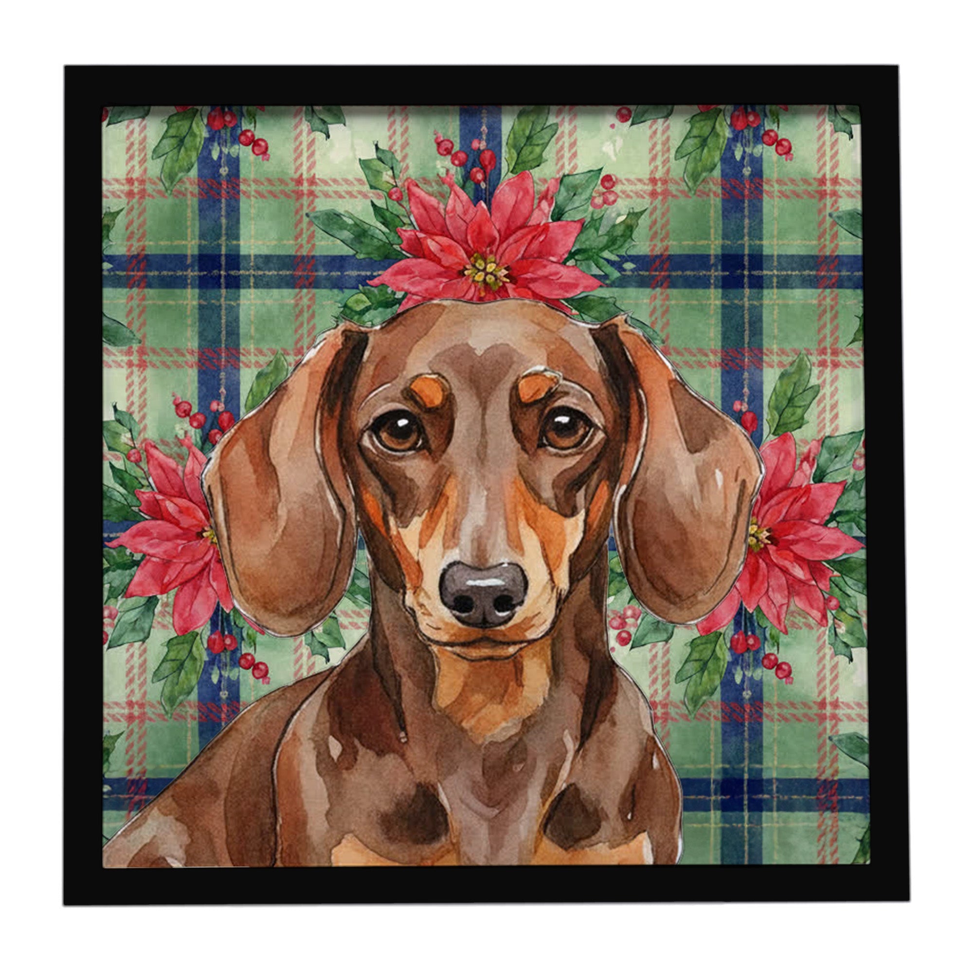 Chocolate and Tan Dachshund Christmas PoinsettIas Framed Metal Print Bathroom, Kitchen, Office, Home Decor Wall Art Ready to Hang, Square, 8X8