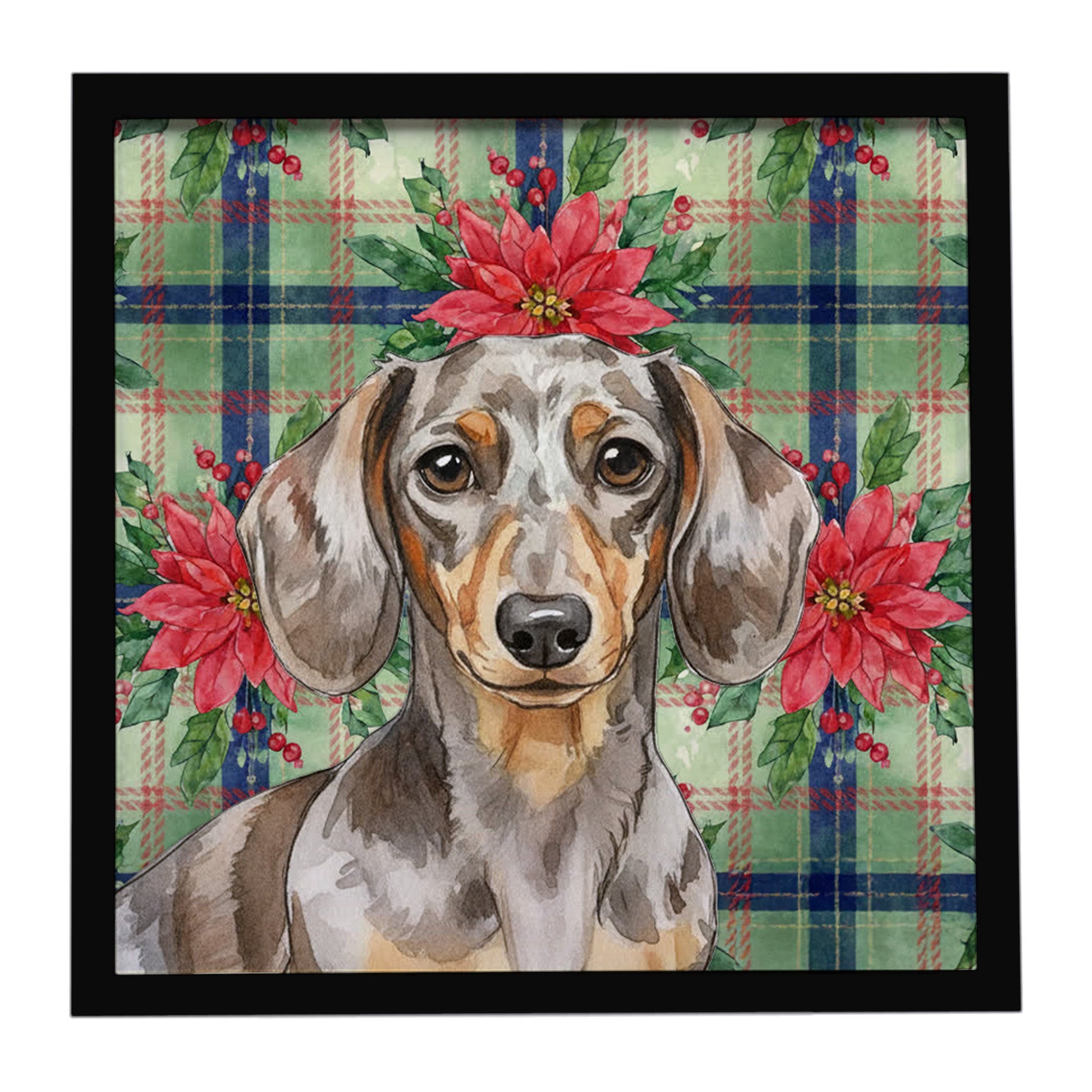 Dapple Dachshund Christmas PoinsettIas Framed Metal Print Bathroom, Kitchen, Office, Home Decor Wall Art Ready to Hang, Square, 8X8