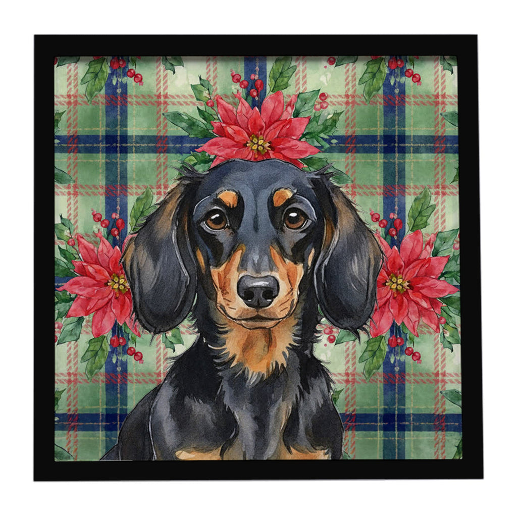 Longhaired Black and Tan Dachshund Christmas PoinsettIas Framed Metal Print Bathroom, Kitchen, Office, Home Decor Wall Art Ready to Hang, Square, 8X8