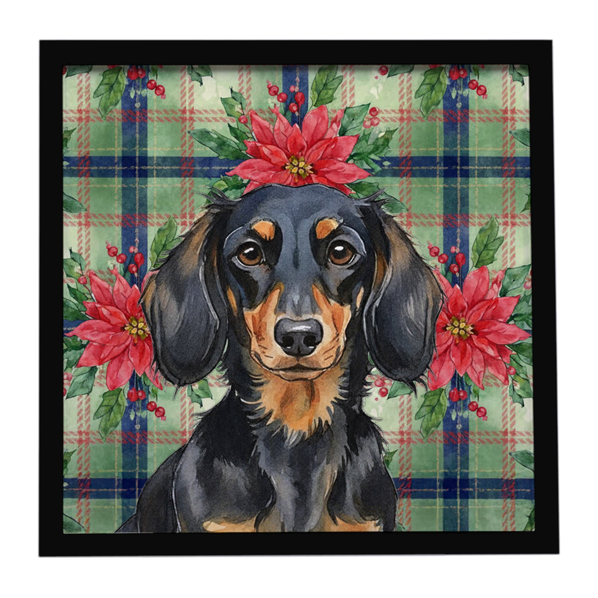 Longhaired Black and Tan Dachshund Christmas PoinsettIas Framed Metal Print Bathroom, Kitchen, Office, Home Decor Wall Art Ready to Hang, Square, 8X8
