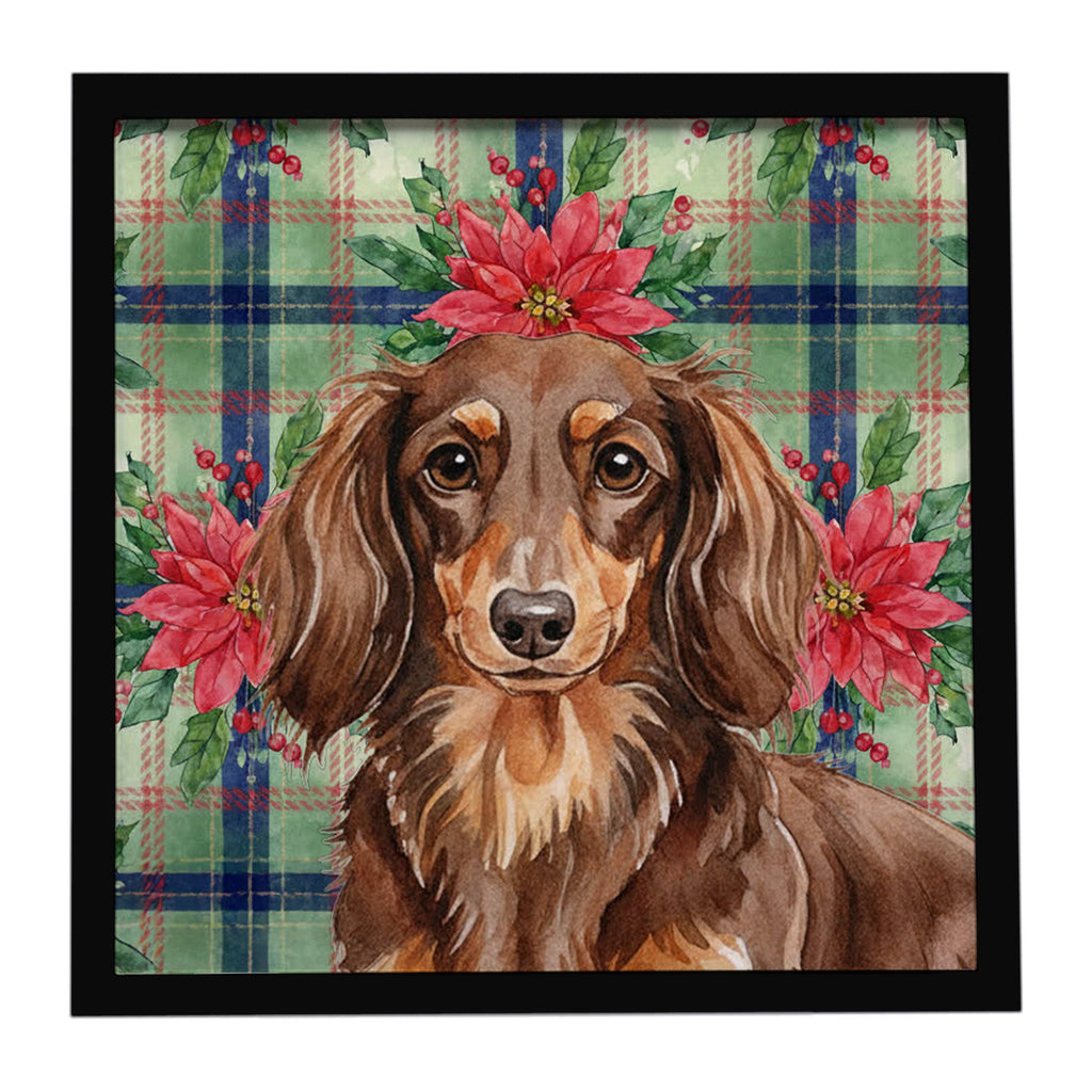 Longhaired Chocolate and Tan Dachshund Christmas PoinsettIas Framed Metal Print Bathroom, Kitchen, Office, Home Decor Wall Art Ready to Hang, Square, 8X8