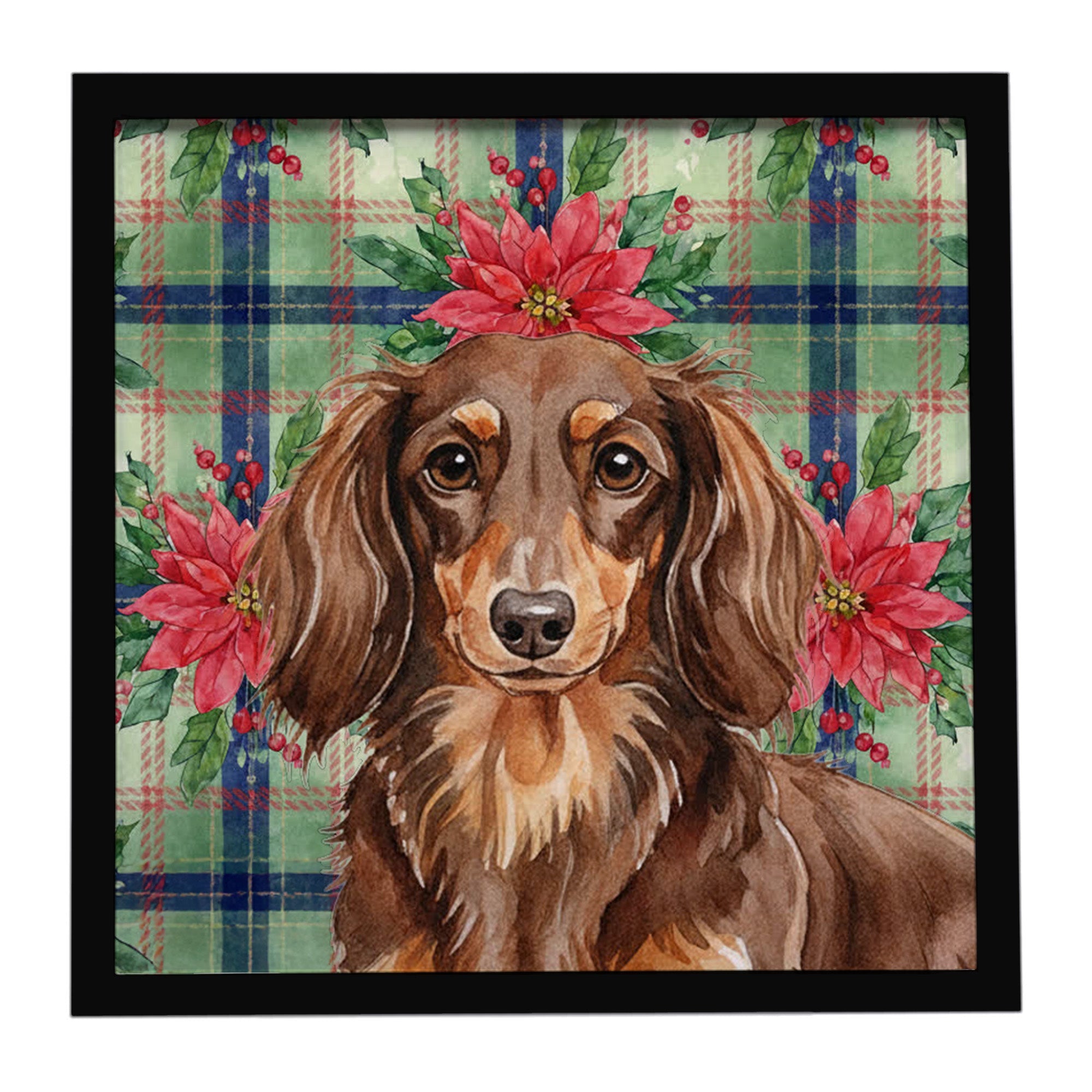 Longhaired Chocolate and Tan Dachshund Christmas PoinsettIas Framed Metal Print Bathroom, Kitchen, Office, Home Decor Wall Art Ready to Hang, Square, 8X8