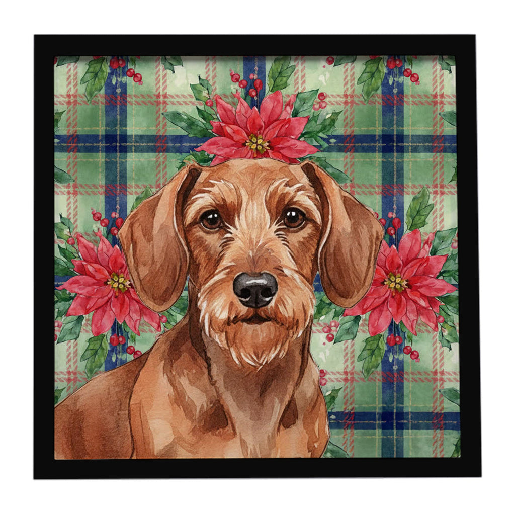 Wirehaired Red Dachshund Christmas PoinsettIas Framed Metal Print Bathroom, Kitchen, Office, Home Decor Wall Art Ready to Hang, Square, 8X8