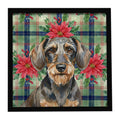 Wirehaired Wild Boar Dachshund Christmas PoinsettIas Framed Metal Print Bathroom, Kitchen, Office, Home Decor Wall Art Ready to Hang, Square, 8X8