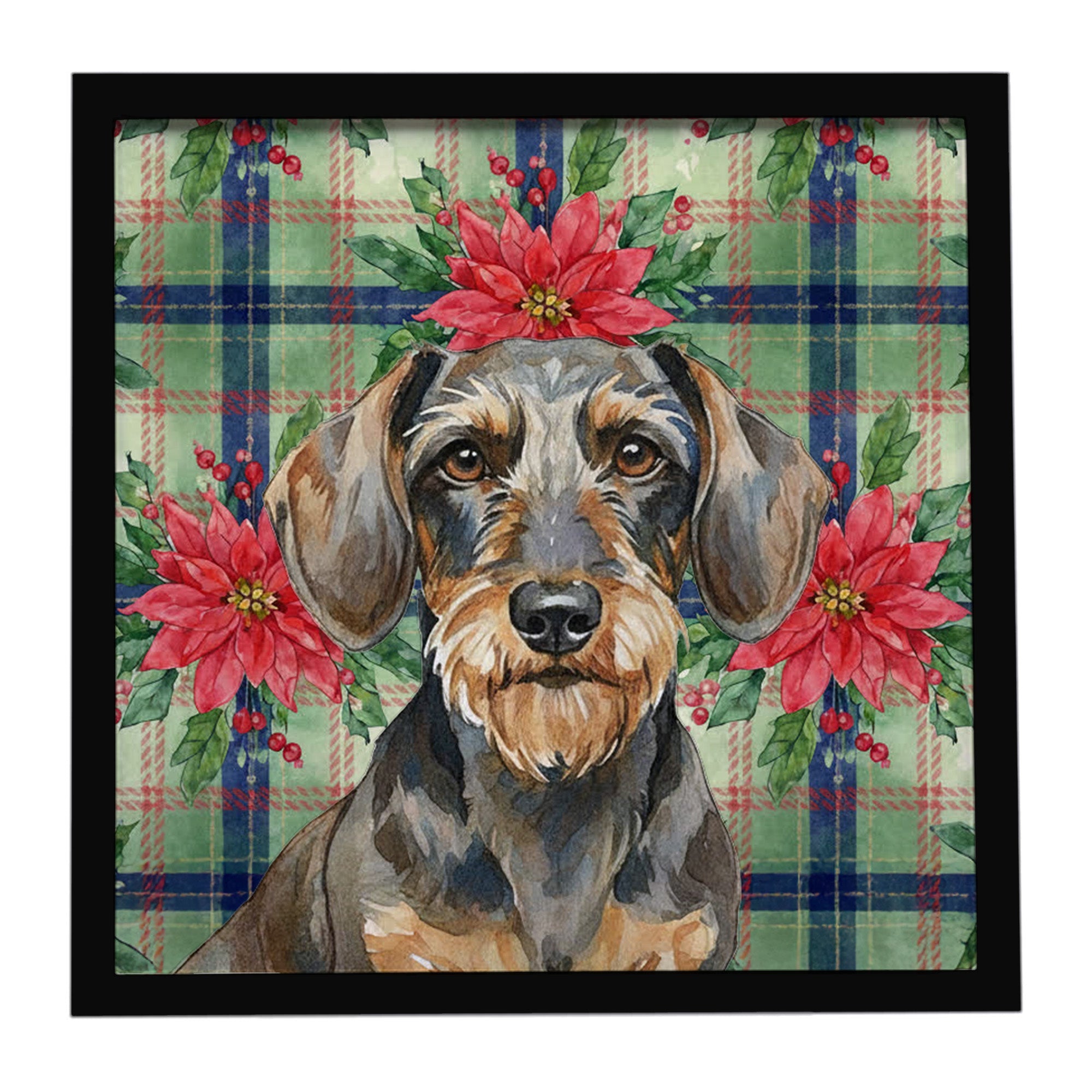 Wirehaired Wild Boar Dachshund Christmas PoinsettIas Framed Metal Print Bathroom, Kitchen, Office, Home Decor Wall Art Ready to Hang, Square, 8X8