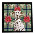 Liver Dalmatian Christmas PoinsettIas Framed Metal Print Bathroom, Kitchen, Office, Home Decor Wall Art Ready to Hang, Square, 8X8
