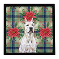 Dogo Argentino Christmas PoinsettIas Framed Metal Print Bathroom, Kitchen, Office, Home Decor Wall Art Ready to Hang, Square, 8X8
