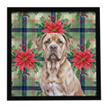 Isabella Dogue de Bordeaux Christmas PoinsettIas Framed Metal Print Bathroom, Kitchen, Office, Home Decor Wall Art Ready to Hang, Square, 8X8