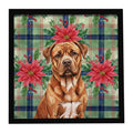 Mahogany Dogue de Bordeaux Christmas PoinsettIas Framed Metal Print Bathroom, Kitchen, Office, Home Decor Wall Art Ready to Hang, Square, 8X8
