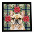 Fawn French Bulldog Christmas PoinsettIas Framed Metal Print Bathroom, Kitchen, Office, Home Decor Wall Art Ready to Hang, Square, 8X8