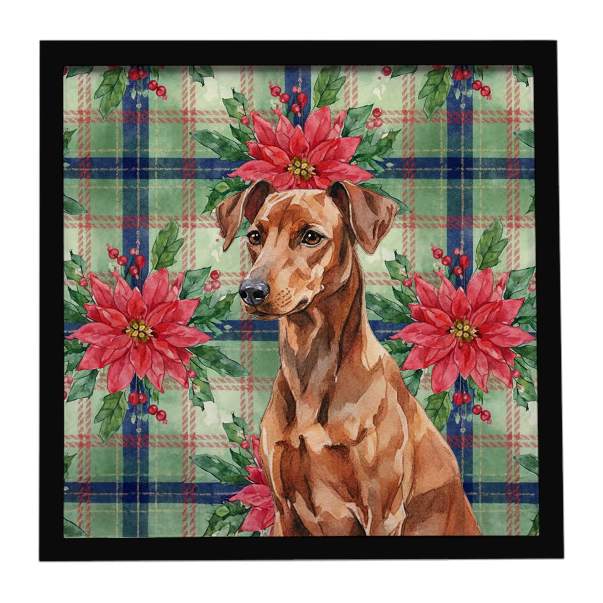 Red German Pinscher Christmas PoinsettIas Framed Metal Print Bathroom, Kitchen, Office, Home Decor Wall Art Ready to Hang, Square, 8X8