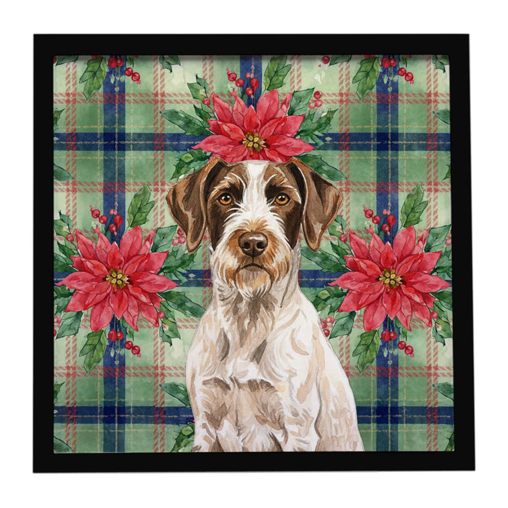Liver and White German Wirehaired Pointer Christmas PoinsettIas Framed Metal Print Bathroom, Kitchen, Office, Home Decor Wall Art Ready to Hang, Square, 8X8
