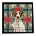 Liver and White German Wirehaired Pointer Christmas PoinsettIas Framed Metal Print Bathroom, Kitchen, Office, Home Decor Wall Art Ready to Hang, Square, 8X8