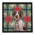 Roan German Wirehaired Pointer Christmas PoinsettIas Framed Metal Print Bathroom, Kitchen, Office, Home Decor Wall Art Ready to Hang, Square, 8X8