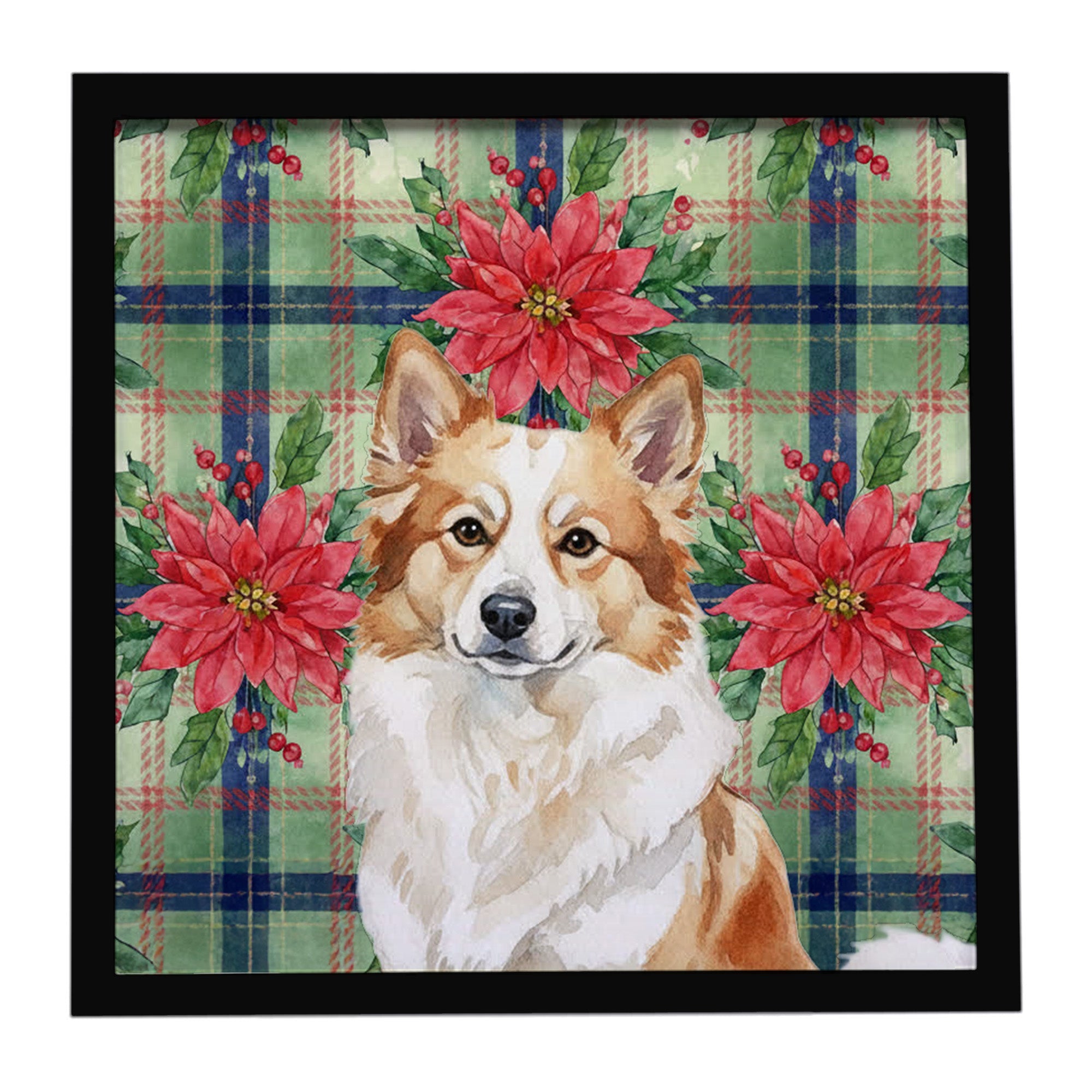 Tan Icelandic Sheepdog Christmas PoinsettIas Framed Metal Print Bathroom, Kitchen, Office, Home Decor Wall Art Ready to Hang, Square, 8X8