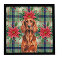 Irish Setter Christmas PoinsettIas Framed Metal Print Bathroom, Kitchen, Office, Home Decor Wall Art Ready to Hang, Square, 8X8