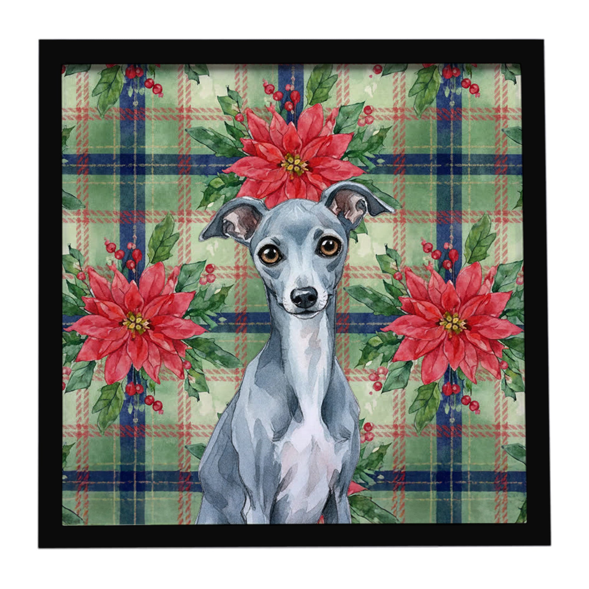Blue Italian Greyhound Christmas PoinsettIas Framed Metal Print Bathroom, Kitchen, Office, Home Decor Wall Art Ready to Hang, Square, 8X8