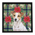 White and Tan Jack Russell Terrier Christmas PoinsettIas Framed Metal Print Bathroom, Kitchen, Office, Home Decor Wall Art Ready to Hang, Square, 8X8