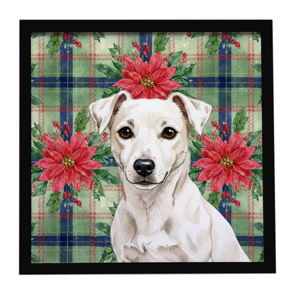 White Jack Russell Terrier Christmas PoinsettIas Framed Metal Print Bathroom, Kitchen, Office, Home Decor Wall Art Ready to Hang, Square, 8X8