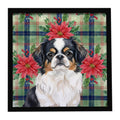 Tricolor Japanese Chin Christmas PoinsettIas Framed Metal Print Bathroom, Kitchen, Office, Home Decor Wall Art Ready to Hang, Square, 8X8