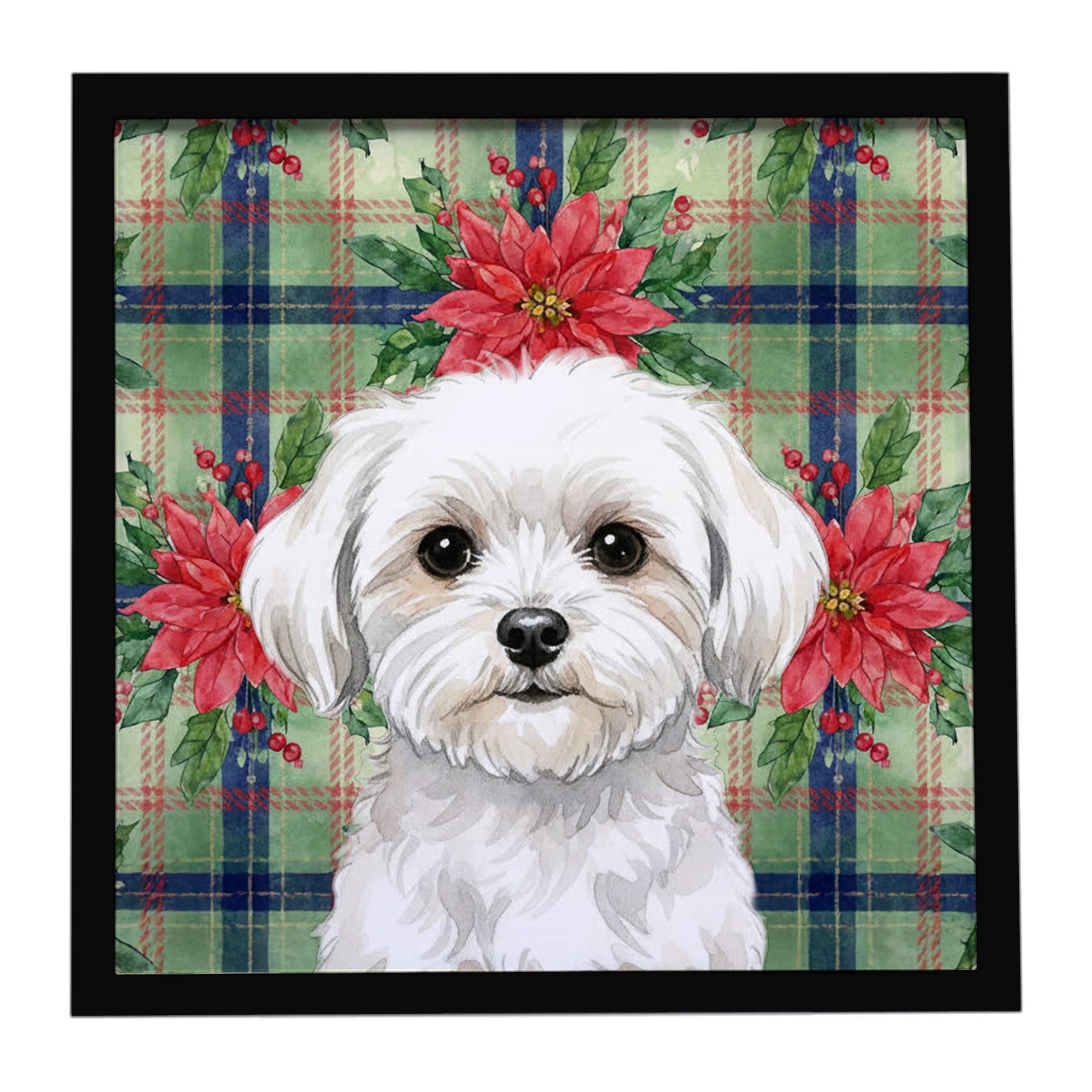 Maltese Christmas PoinsettIas Framed Metal Print Bathroom, Kitchen, Office, Home Decor Wall Art Ready to Hang, Square, 8X8