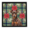 Chocolate and Rust Miniature Pinscher Min Pin Christmas PoinsettIas Framed Metal Print Bathroom, Kitchen, Office, Home Decor Wall Art Ready to Hang, Square, 8X8