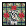 Miniature Schnauzer Christmas PoinsettIas Framed Metal Print Bathroom, Kitchen, Office, Home Decor Wall Art Ready to Hang, Square, 8X8