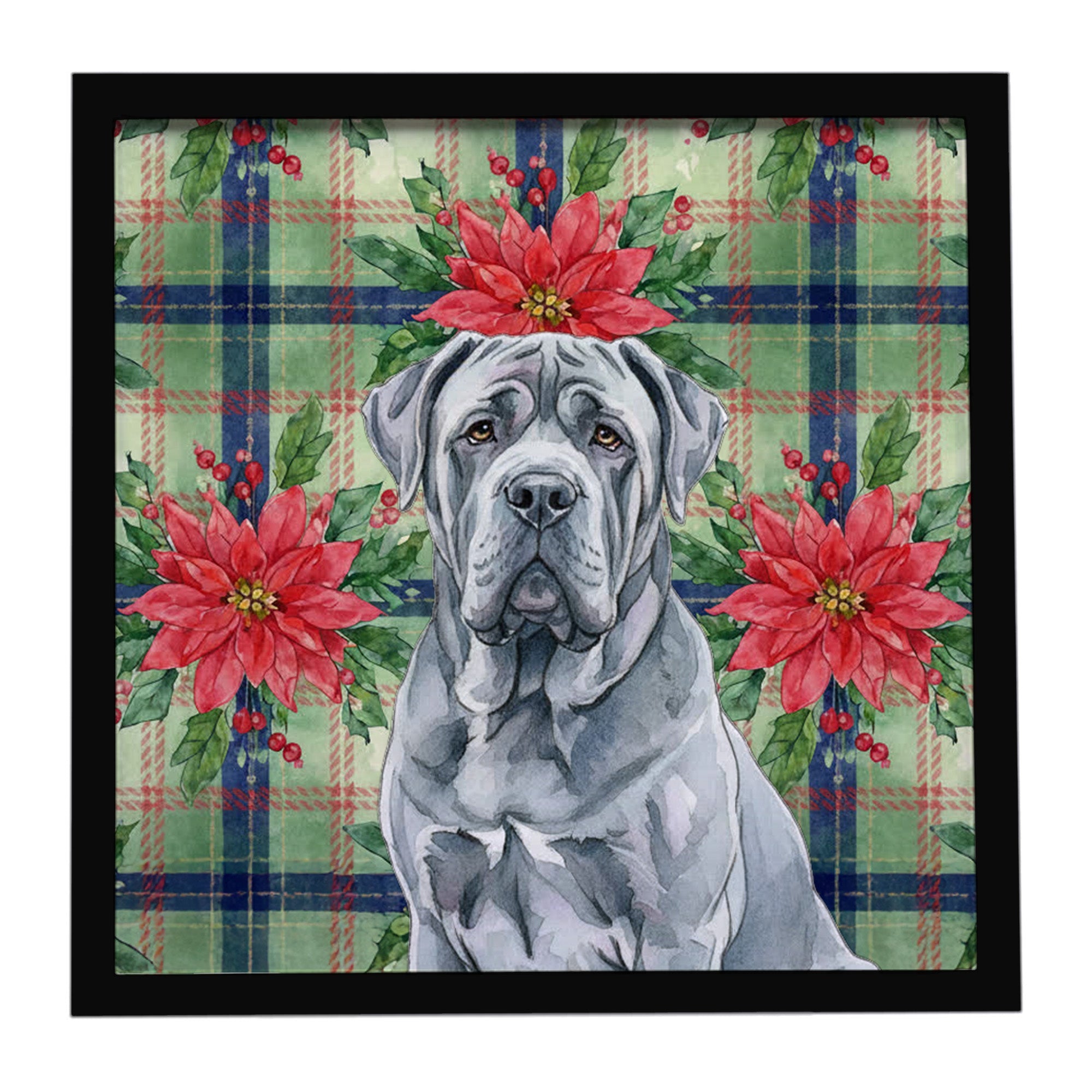 Blue Neapolitan Mastiff Christmas PoinsettIas Framed Metal Print Bathroom, Kitchen, Office, Home Decor Wall Art Ready to Hang, Square, 8X8