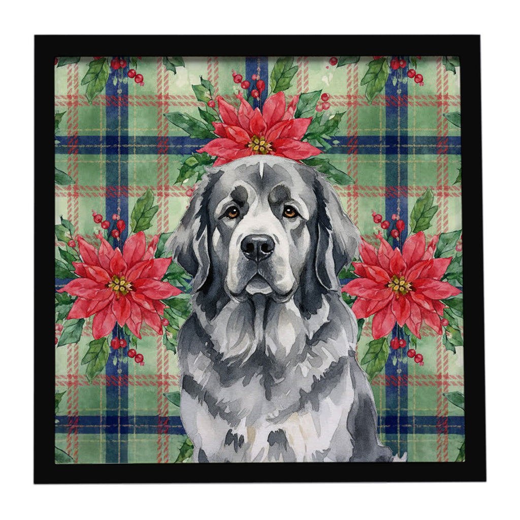 Gray Newfoundland Christmas PoinsettIas Framed Metal Print Bathroom, Kitchen, Office, Home Decor Wall Art Ready to Hang, Square, 8X8