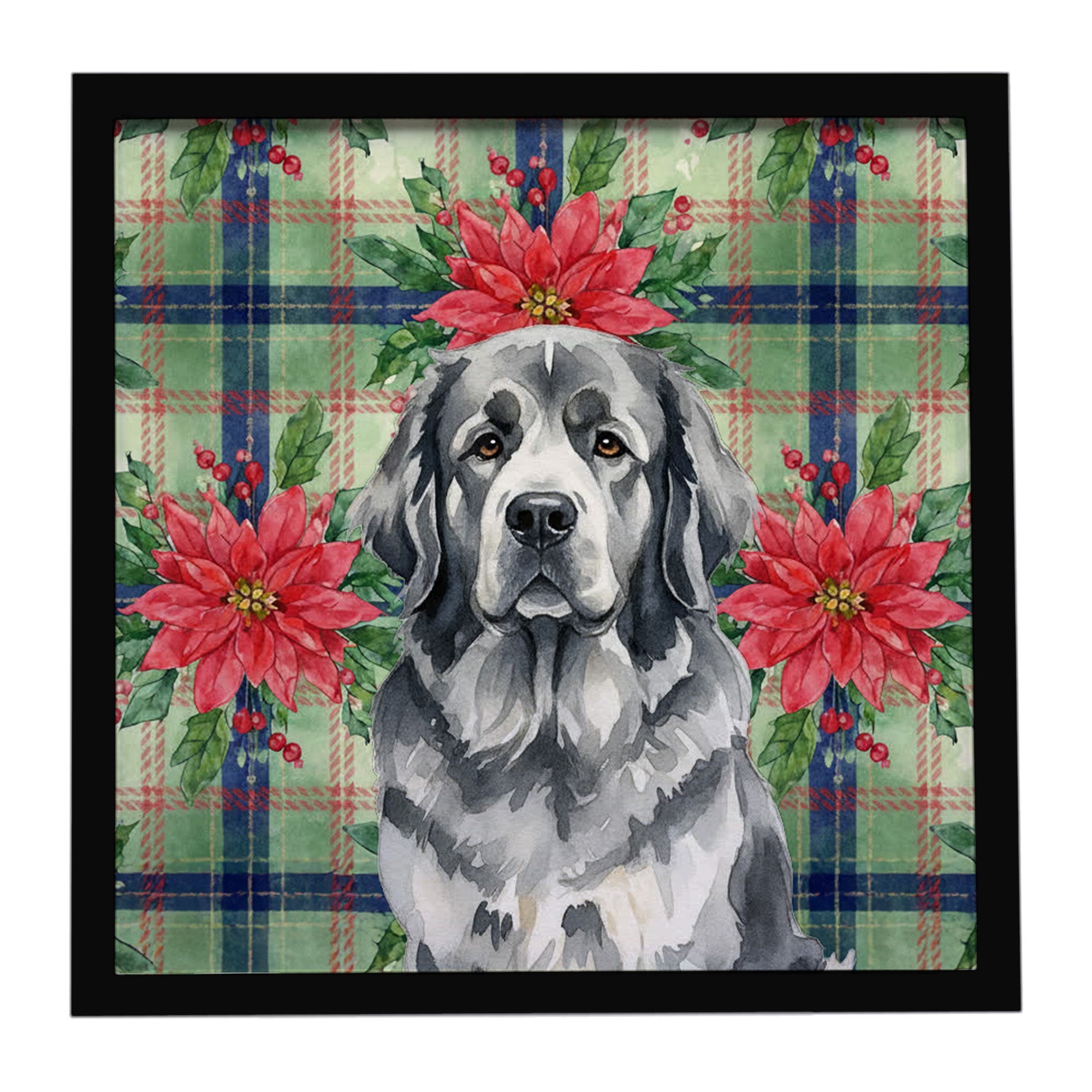 Gray Newfoundland Christmas PoinsettIas Framed Metal Print Bathroom, Kitchen, Office, Home Decor Wall Art Ready to Hang, Square, 8X8