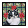Black and White Pomeranian Christmas PoinsettIas Framed Metal Print Bathroom, Kitchen, Office, Home Decor Wall Art Ready to Hang, Square, 8X8
