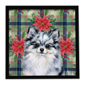 Blue Merle Pomeranian Christmas PoinsettIas Framed Metal Print Bathroom, Kitchen, Office, Home Decor Wall Art Ready to Hang, Square, 8X8